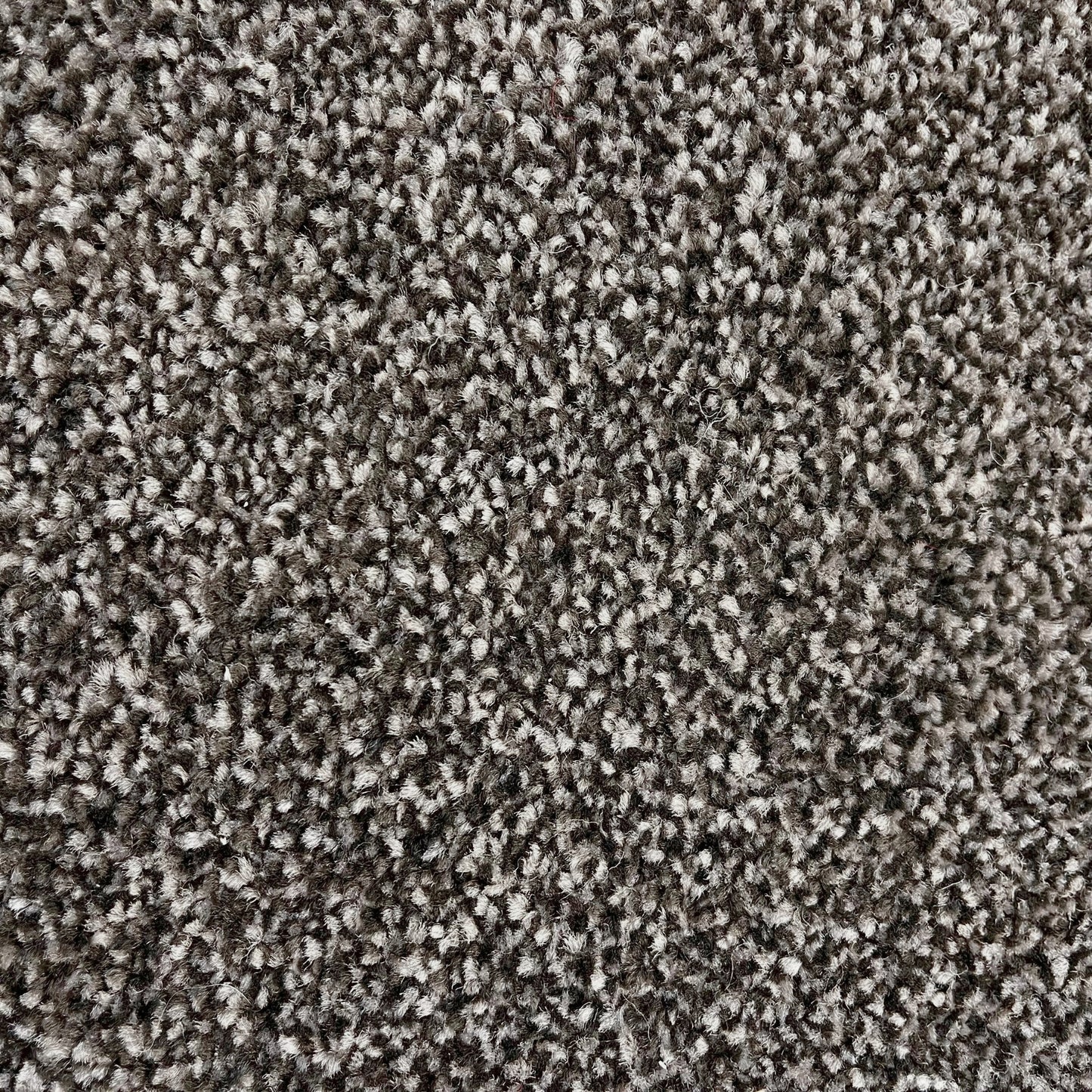 Brisbane 15mm Saxony Pile Carpet with Action Backing Sample