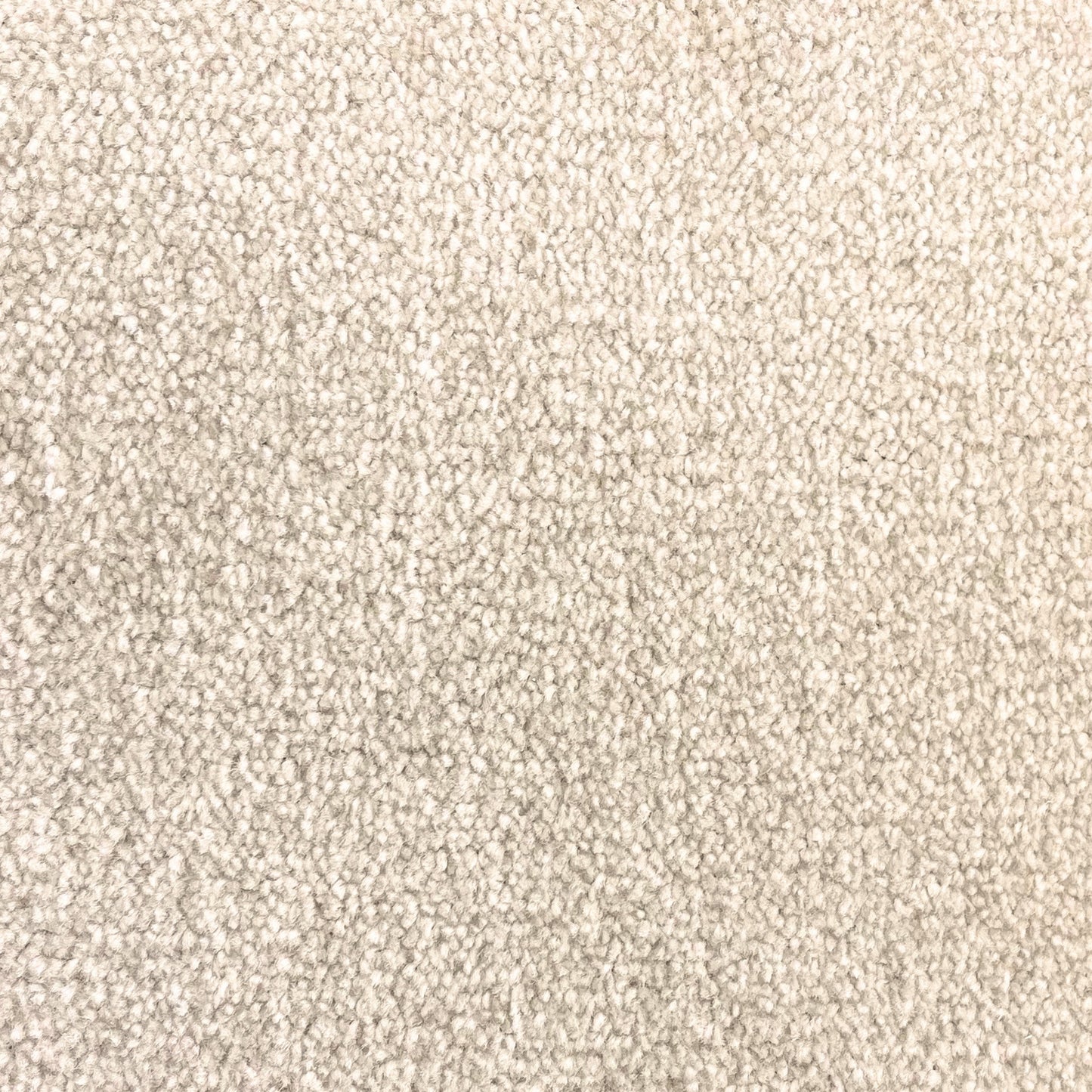 Brisbane 15mm Saxony Pile Carpet with Action Backing