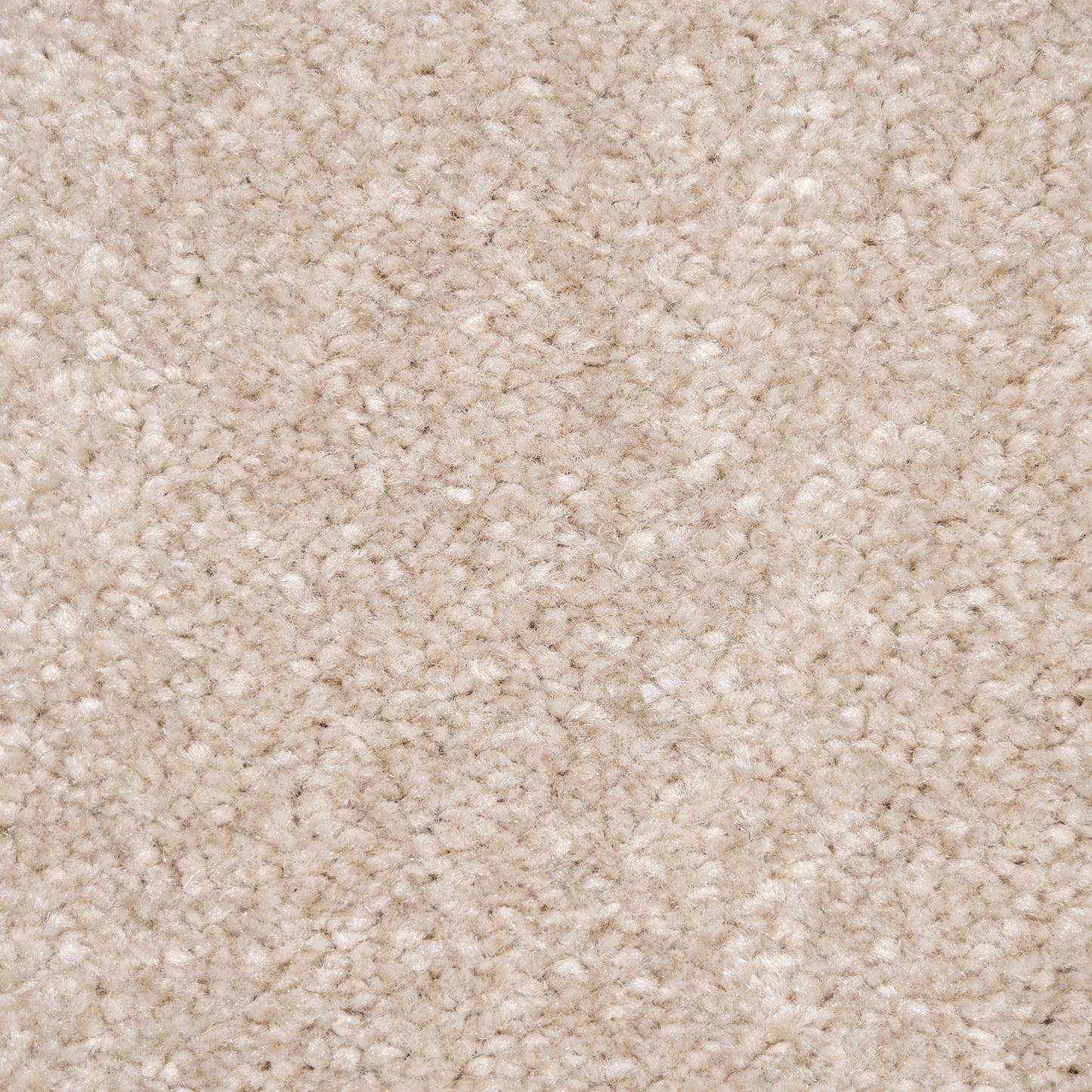Monarch 14mm Saxony Pile Carpet with Action Backing Sample