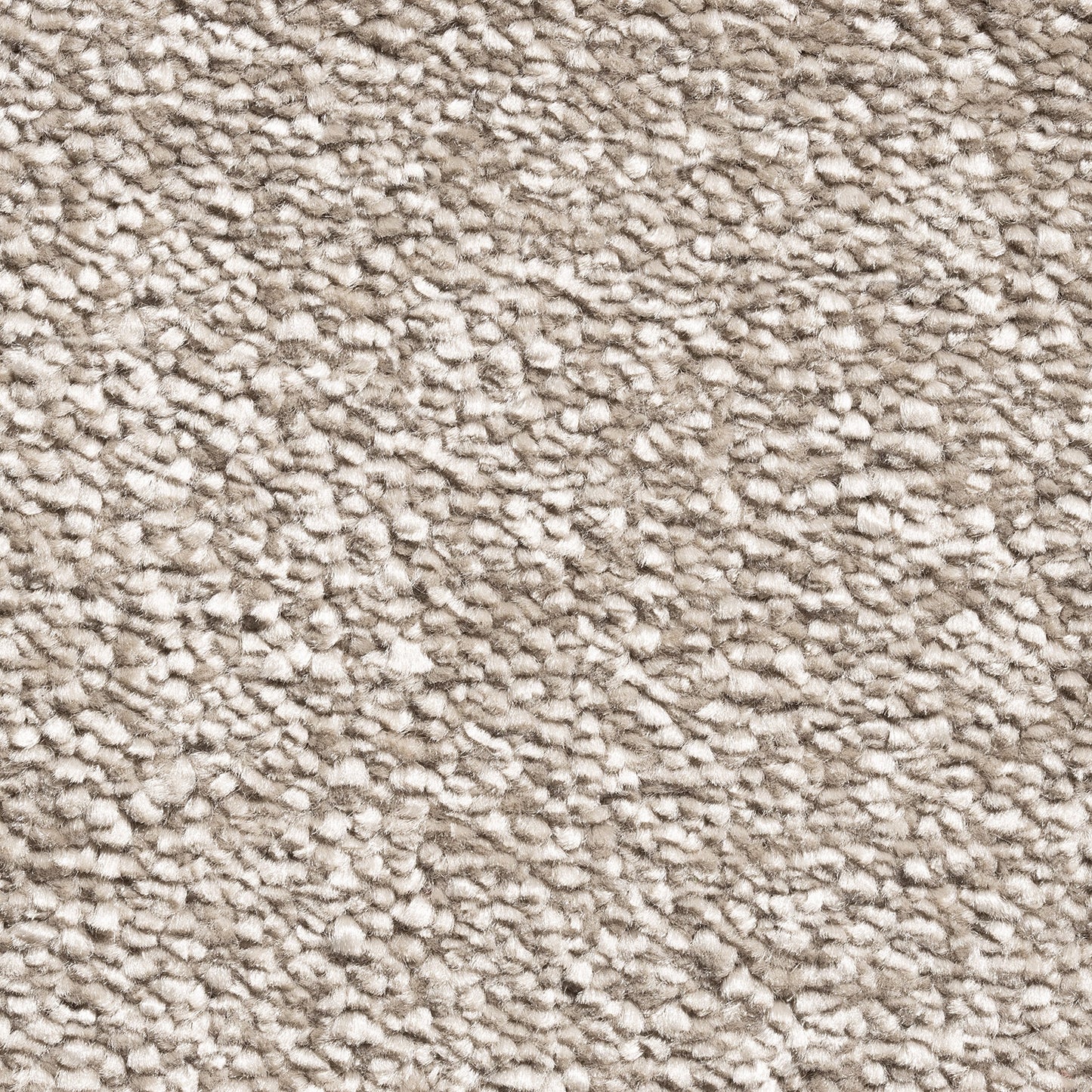 Mayfair 13.5mm Saxony Pile Carpet with Action Backing Sample