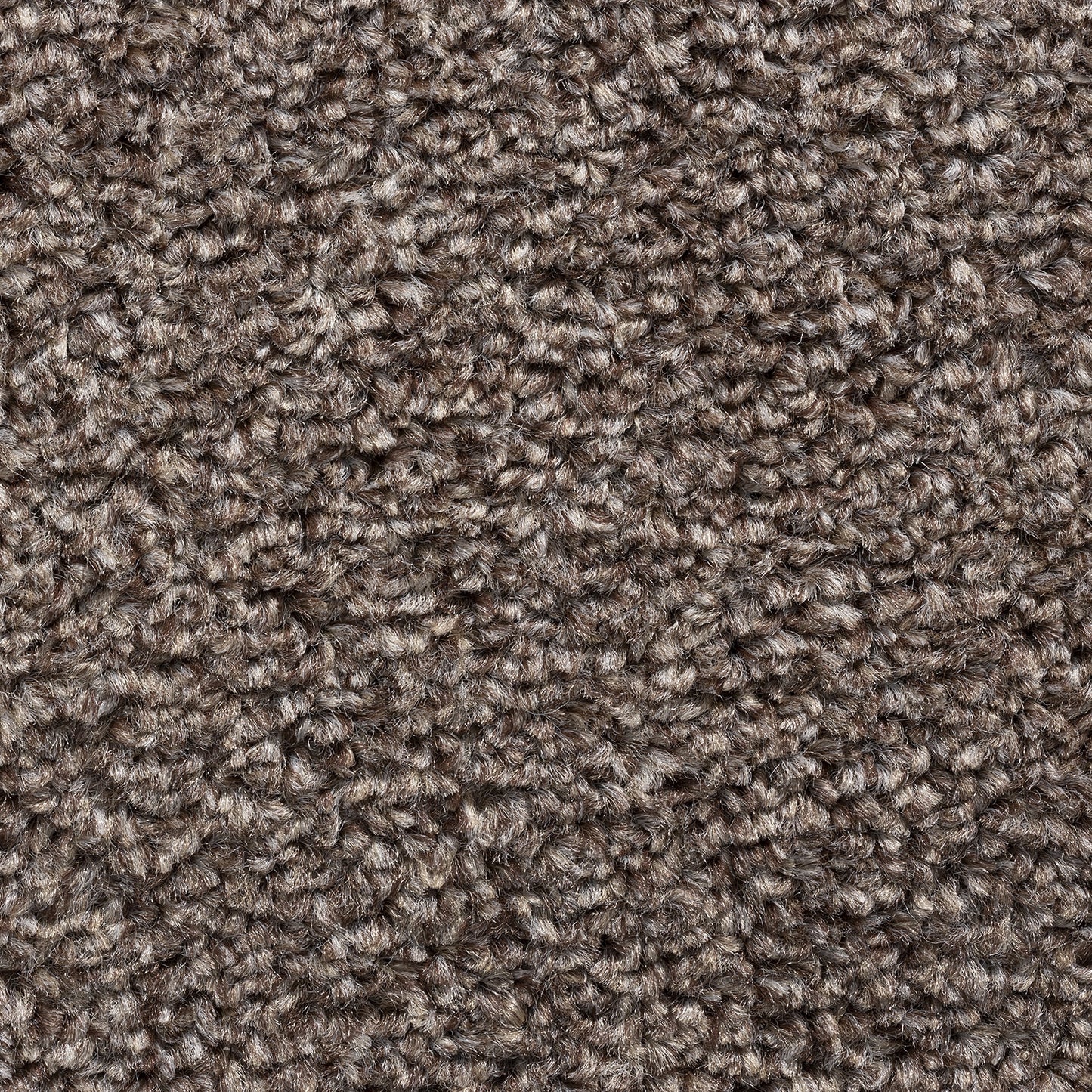 Cavello 8mm Soft Twist Pile Carpet with Felt Backing Sample