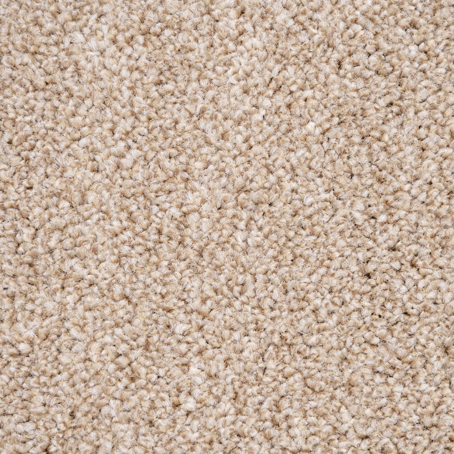 Monarch 14mm Saxony Pile Carpet with Action Backing Sample