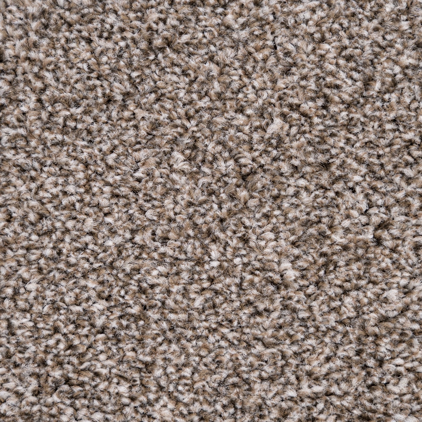 Monarch 14mm Saxony Pile Carpet with Action Backing Sample