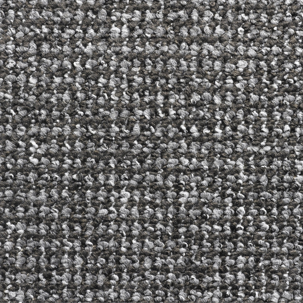 Conan 4mm Loop Pile Carpet with Felt Backing Sample
