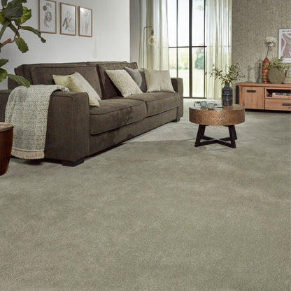 Alps 11mm Soft Twist Pile Carpet with Action Backing Sample