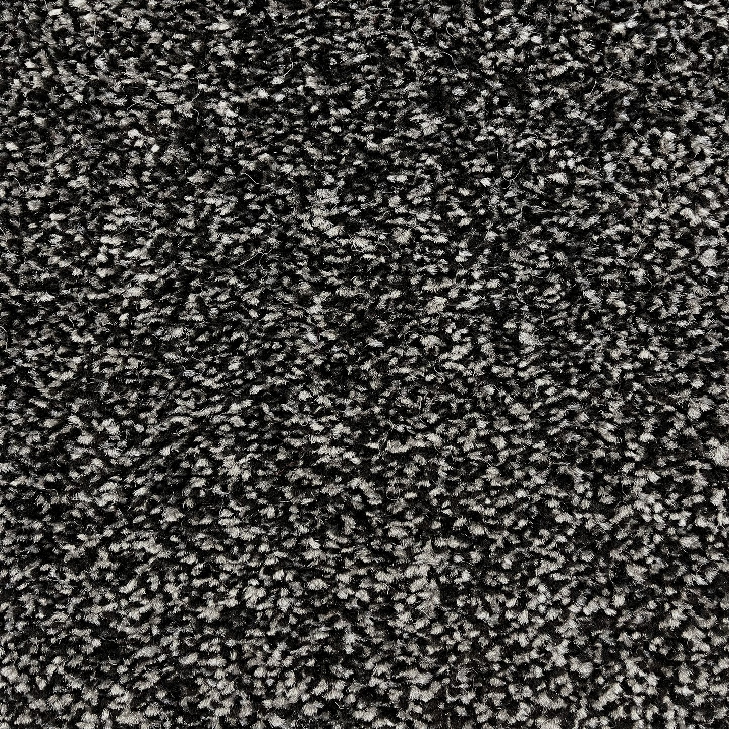 Brisbane 15mm Saxony Pile Carpet with Action Backing