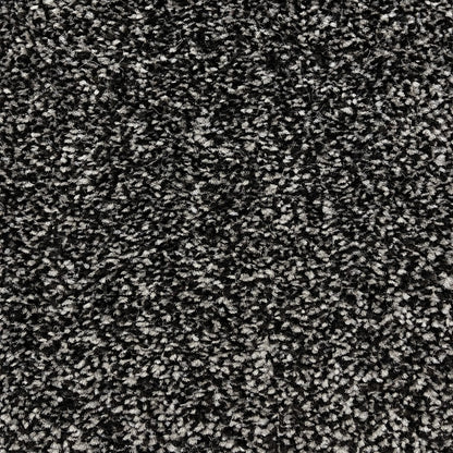 Brisbane 15mm Saxony Pile Carpet with Action Backing