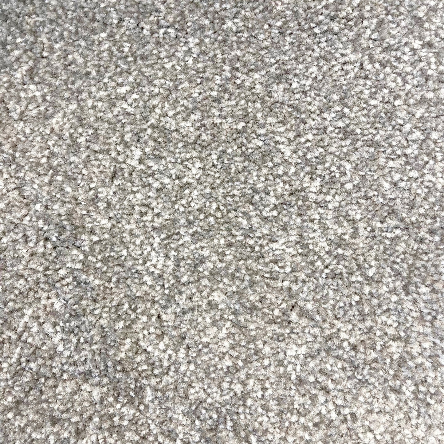 Brisbane 15mm Saxony Pile Carpet with Action Backing