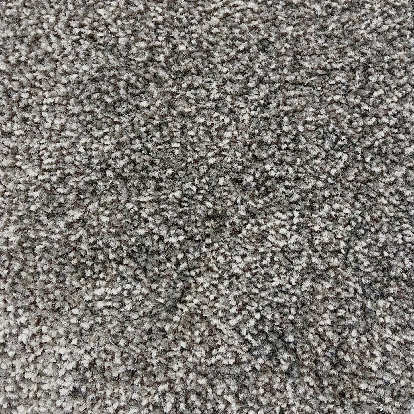 Brisbane 15mm Saxony Pile Carpet with Action Backing