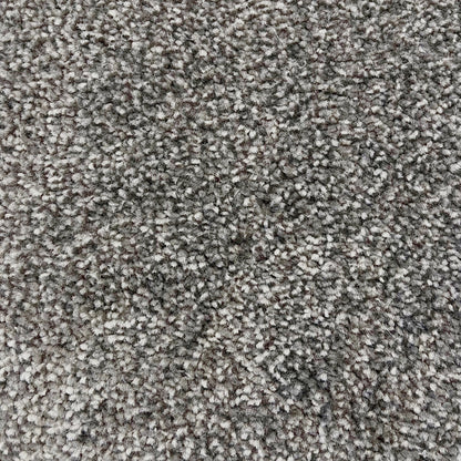 Brisbane 15mm Saxony Pile Carpet with Action Backing