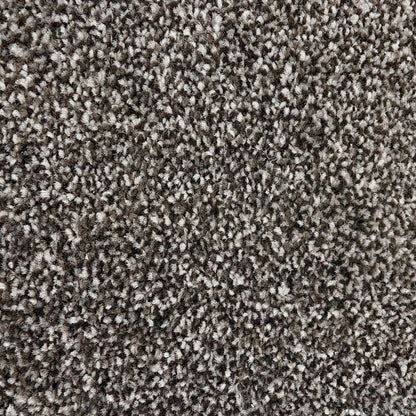 Brisbane 15mm Saxony Pile Carpet with Action Backing