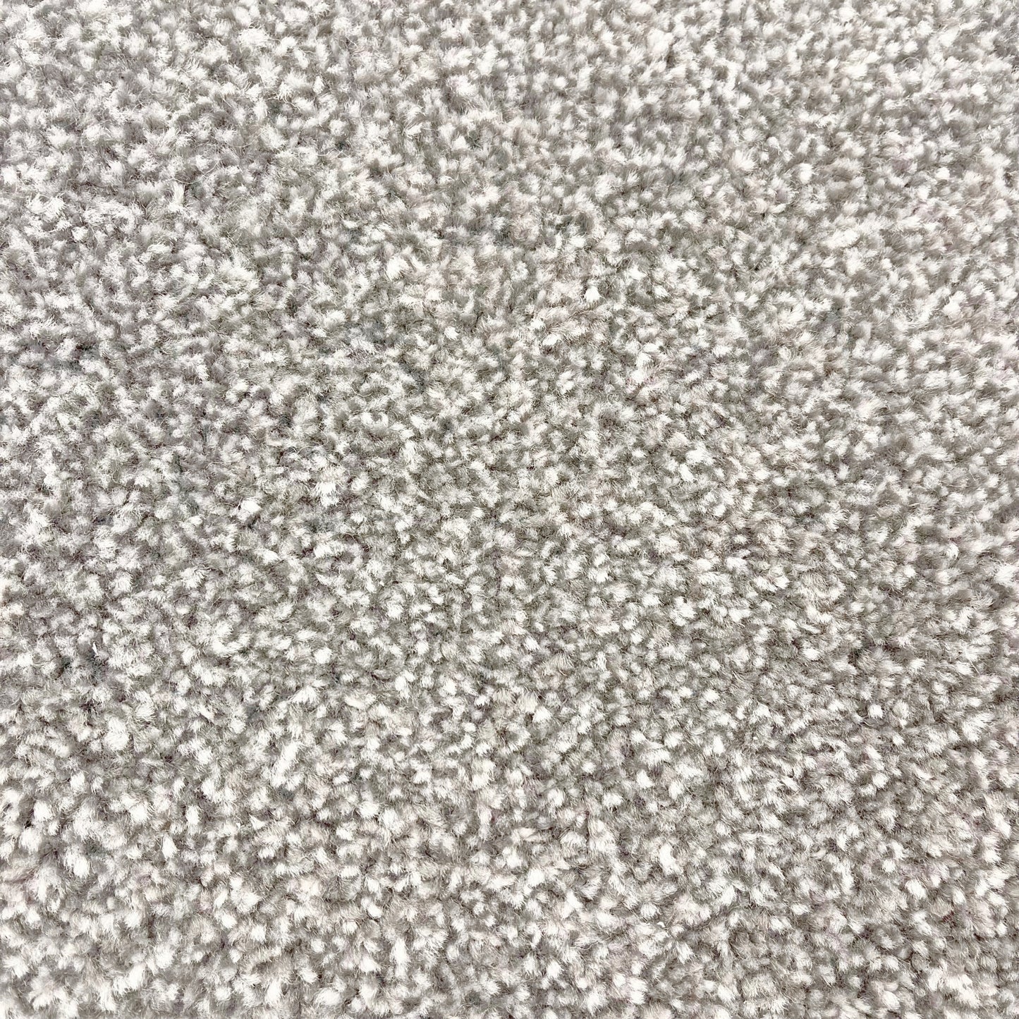 Brisbane 15mm Saxony Pile Carpet with Action Backing