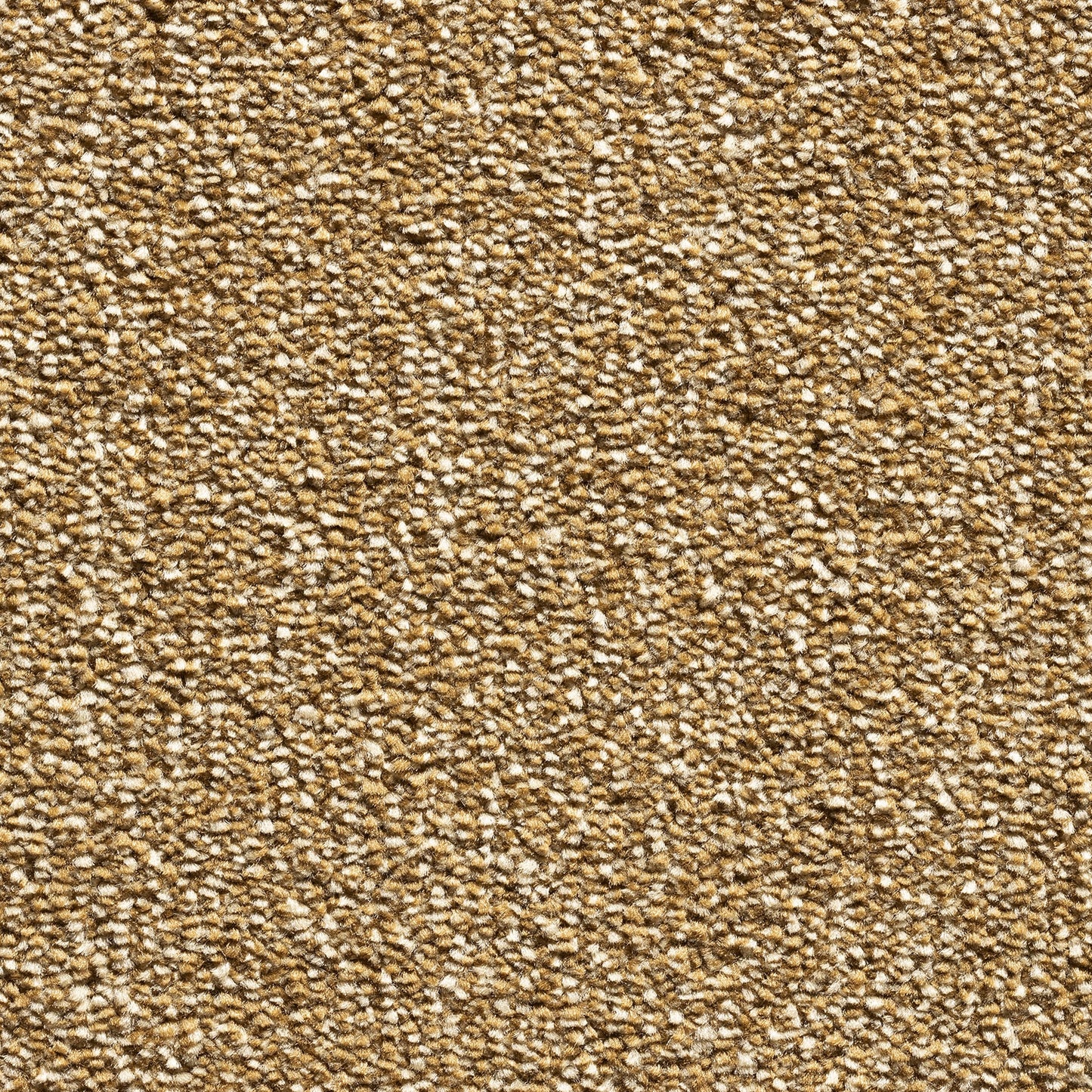 Serenity 17.5mm Deep Saxony Pile Carpet with Action Backing Sample