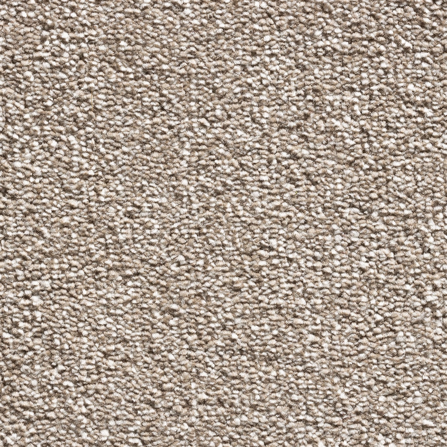 Serenity 17.5mm Deep Saxony Pile Carpet with Action Backing Sample