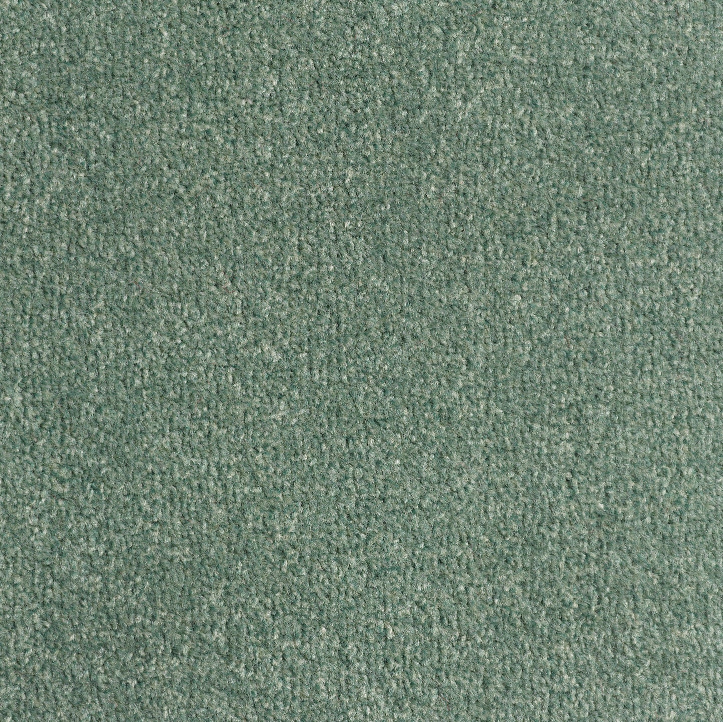 Revolution 8.5mm Saxony Pile Carpet with Action Backing