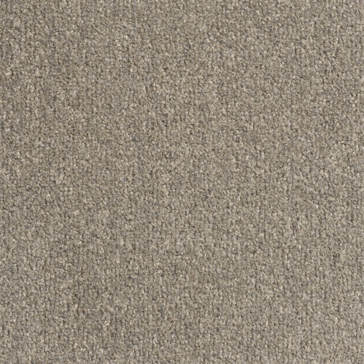 Revolution 8.5mm Saxony Pile Carpet with Action Backing