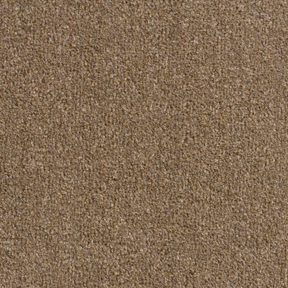 Revolution 8.5mm Saxony Pile Carpet with Action Backing