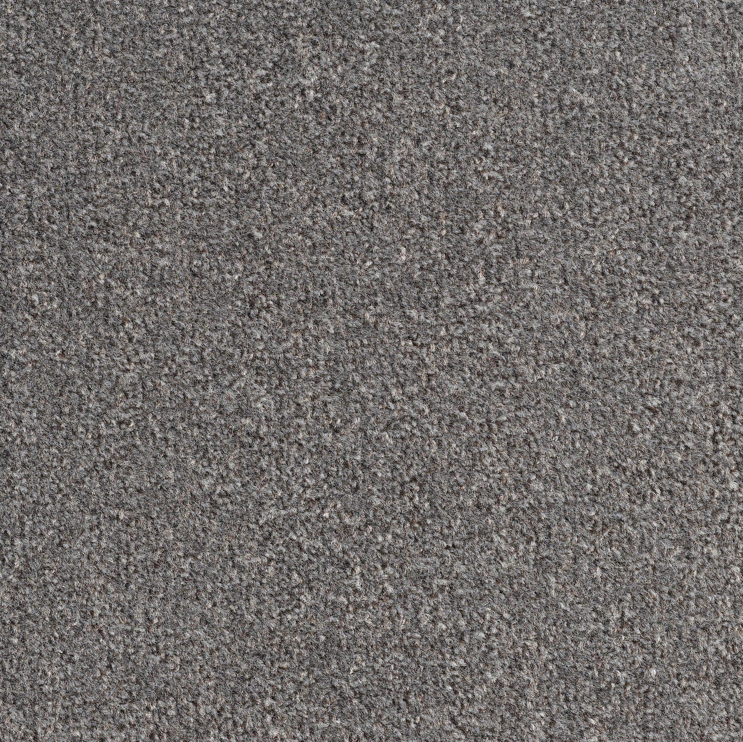 Revolution 8.5mm Saxony Pile Carpet with Action Backing