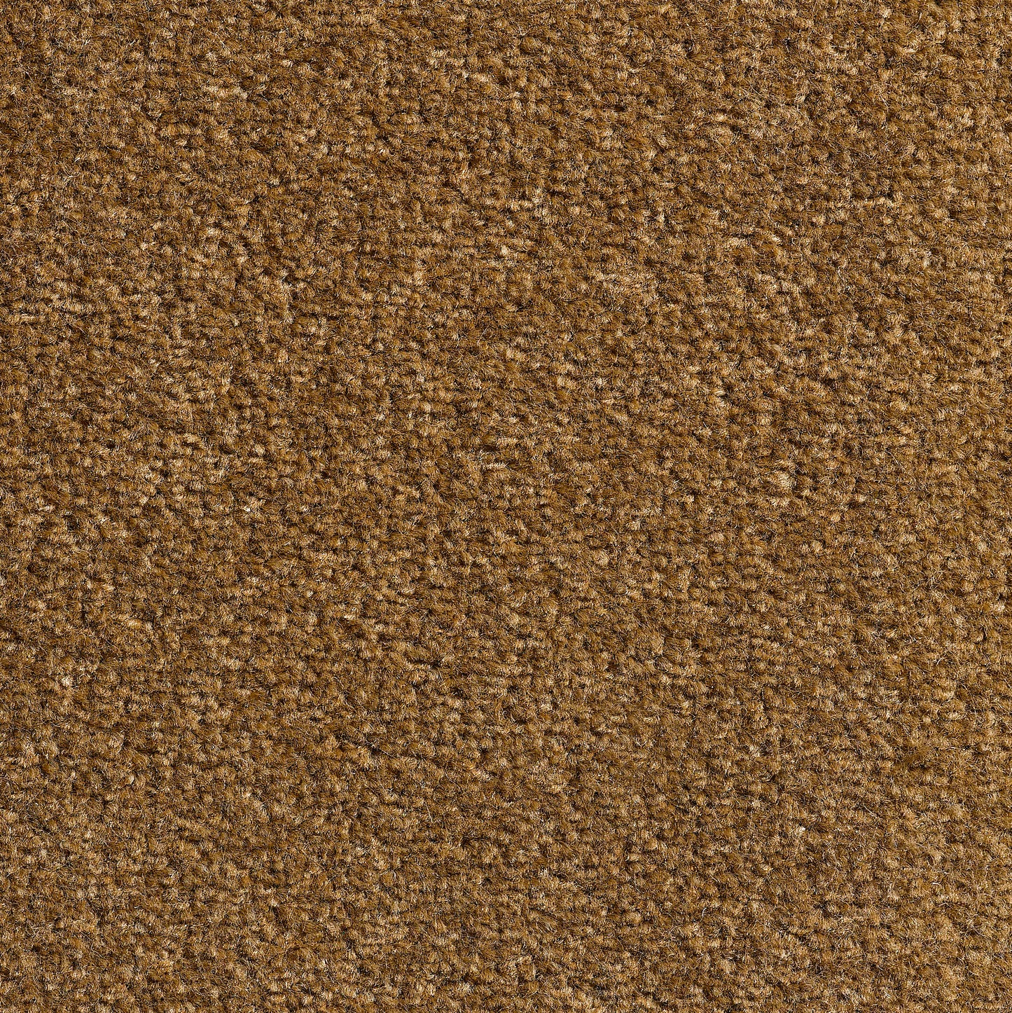 Revolution 8.5mm Saxony Pile Carpet with Action Backing