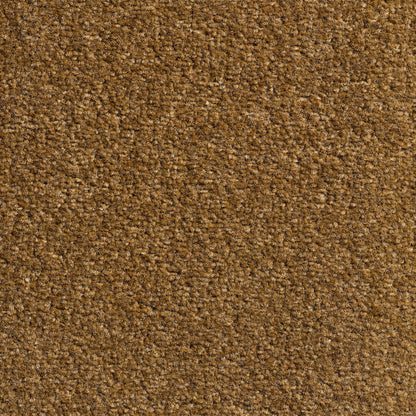 Revolution 8.5mm Saxony Pile Carpet with Action Backing
