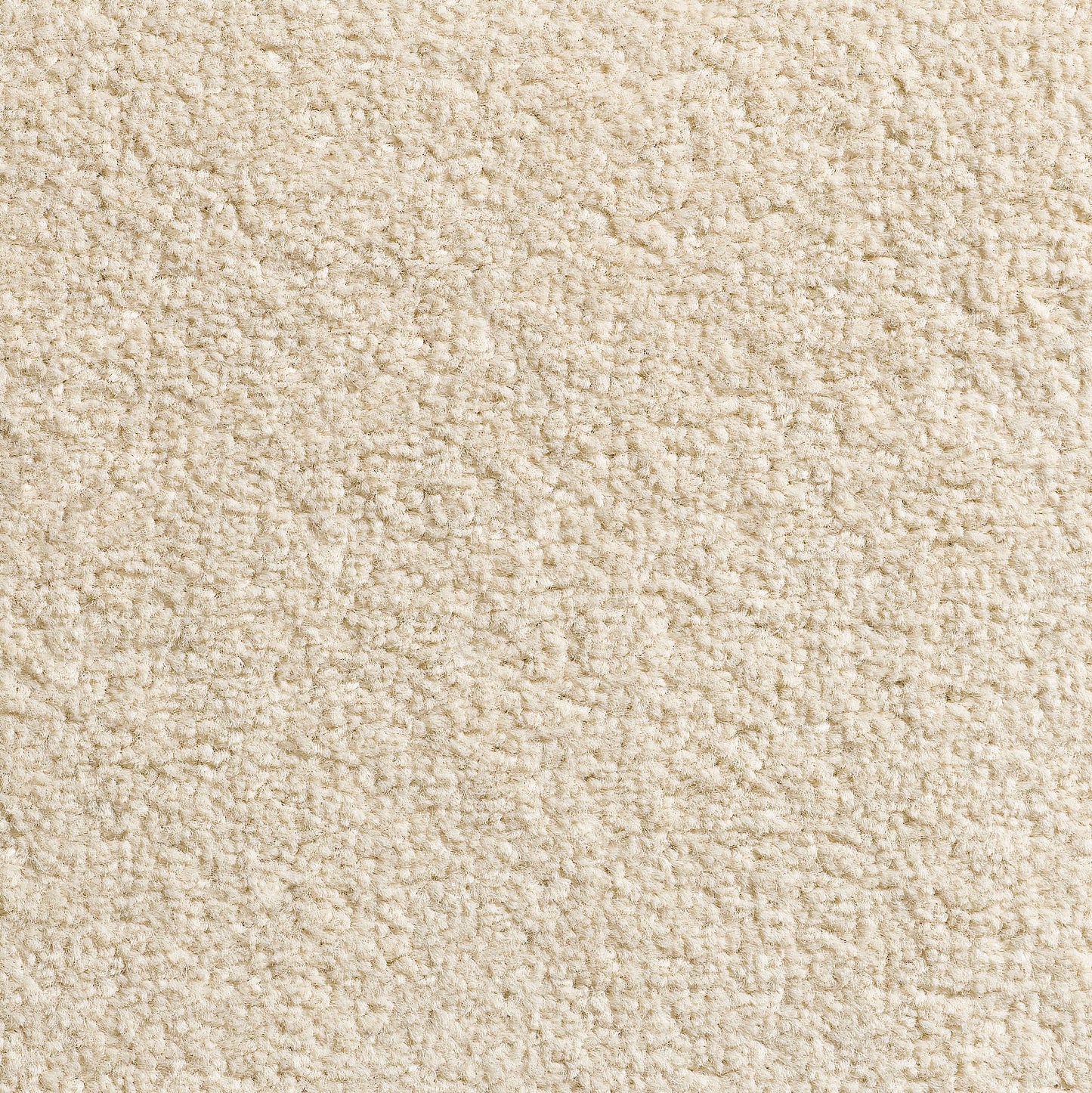 Revolution 8.5mm Saxony Pile Carpet with Action Backing