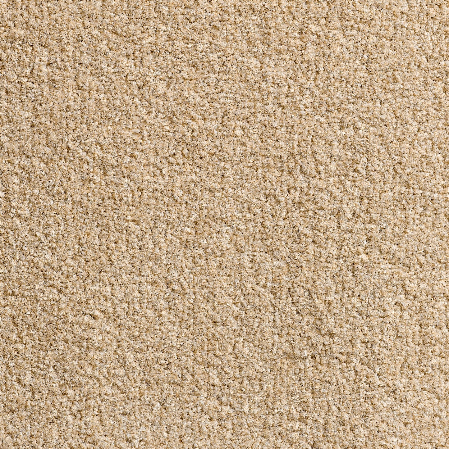 Revolution 8.5mm Saxony Pile Carpet with Action Backing