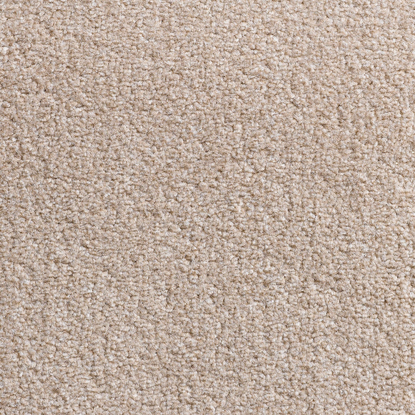 Revolution 8.5mm Saxony Pile Carpet with Action Backing