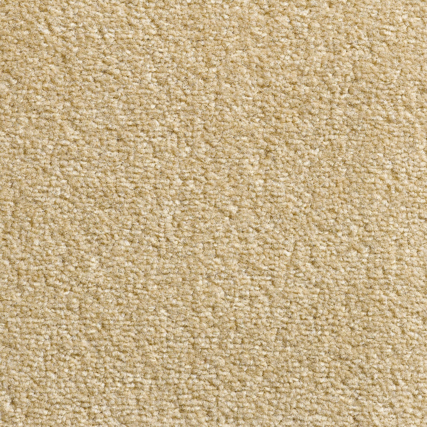 Revolution 8.5mm Saxony Pile Carpet with Action Backing