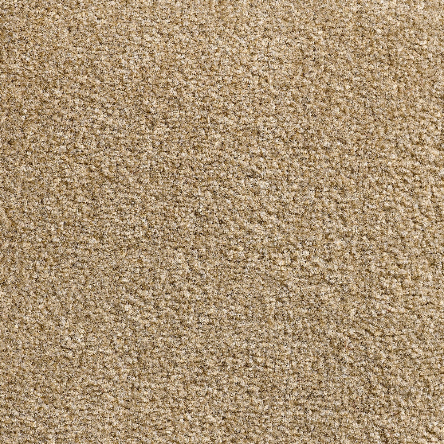 Revolution 8.5mm Saxony Pile Carpet with Action Backing