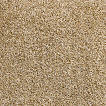 Revolution 8.5mm Saxony Pile Carpet with Action Backing