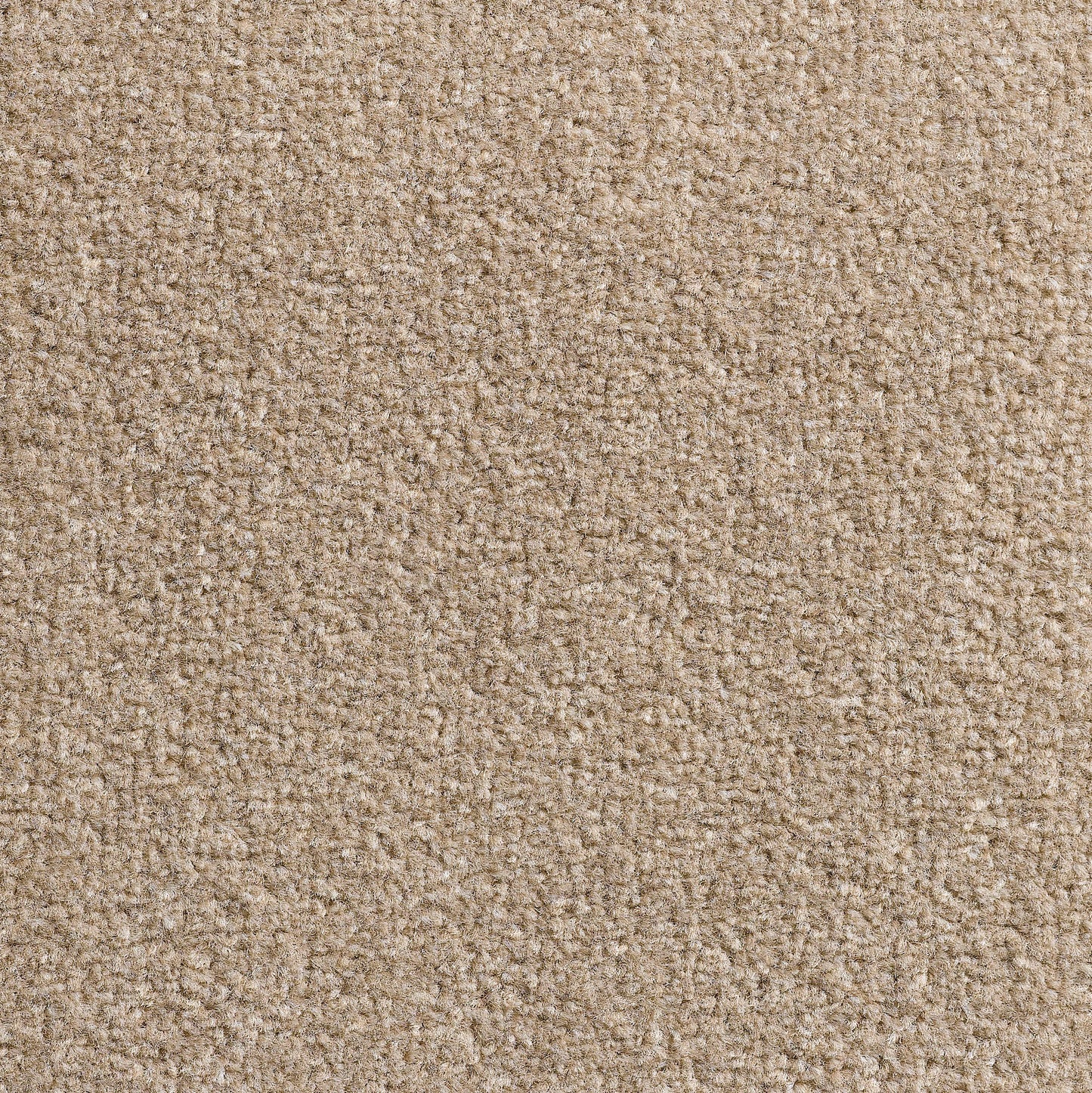 Revolution 8.5mm Saxony Pile Carpet with Action Backing