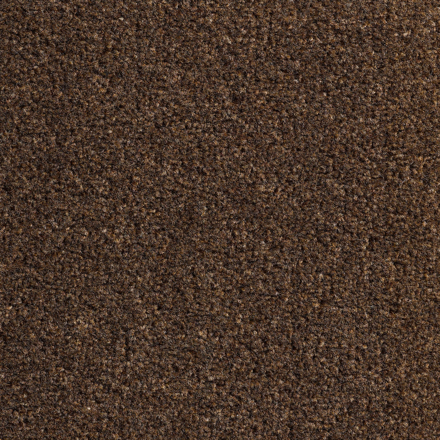 Revolution 8.5mm Saxony Pile Carpet with Action Backing