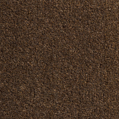 Revolution 8.5mm Saxony Pile Carpet with Action Backing