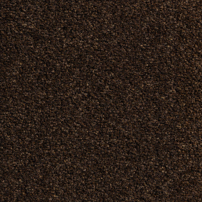 Revolution 8.5mm Saxony Pile Carpet with Action Backing