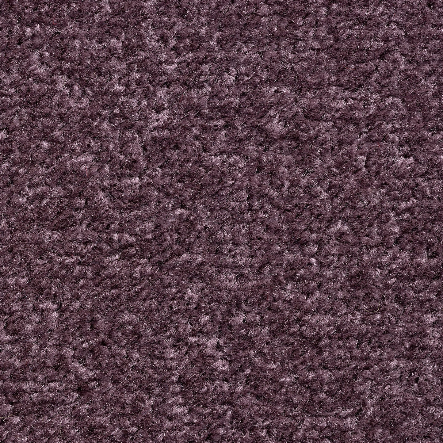 Sprinter 5mm Loop Pile Carpet with Felt Backing Sample
