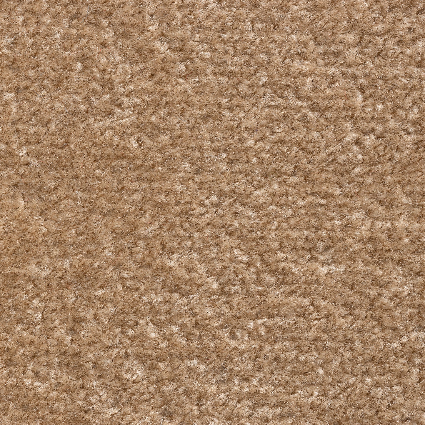 Sprinter 5mm Loop Pile Carpet with Felt Backing Sample