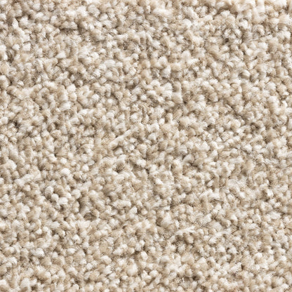 Alps 11mm Soft Twist Pile Carpet with Action Backing