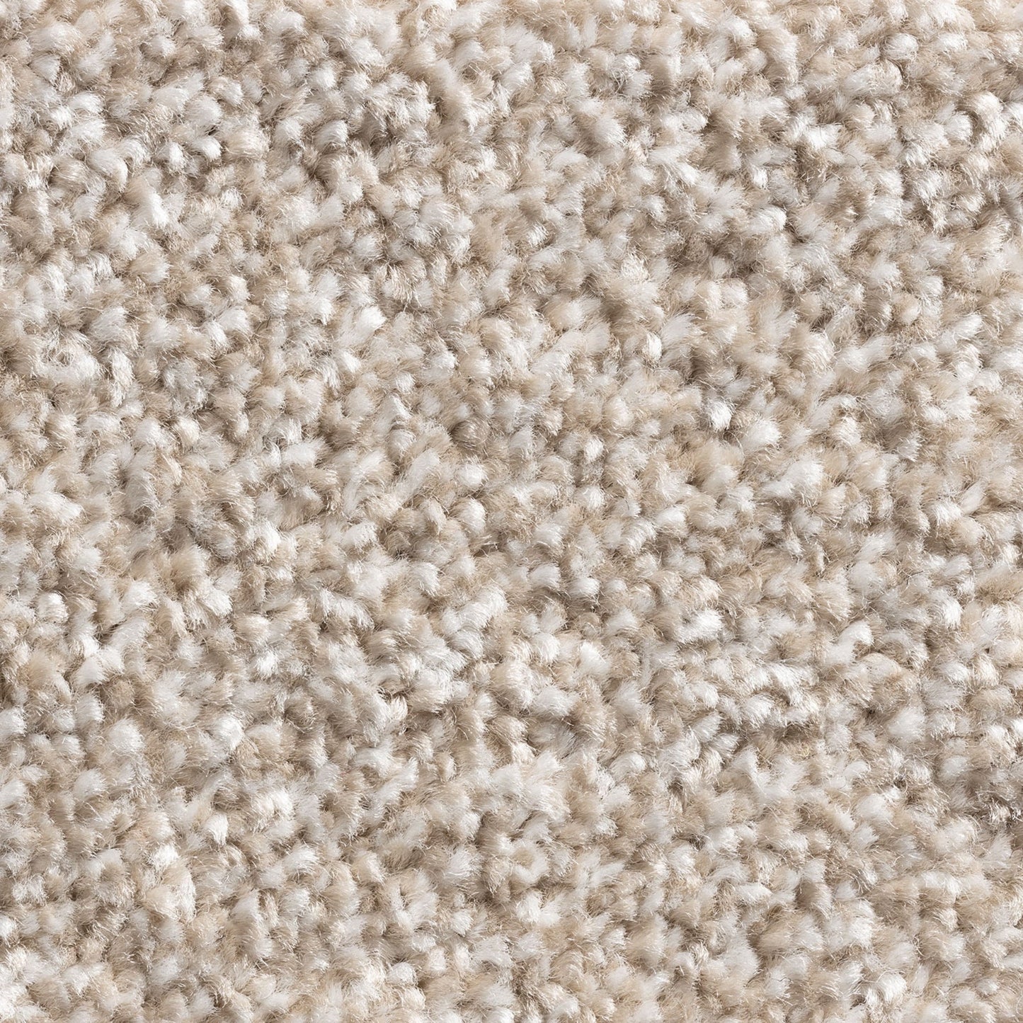 Alps 11mm Soft Twist Pile Carpet with Action Backing