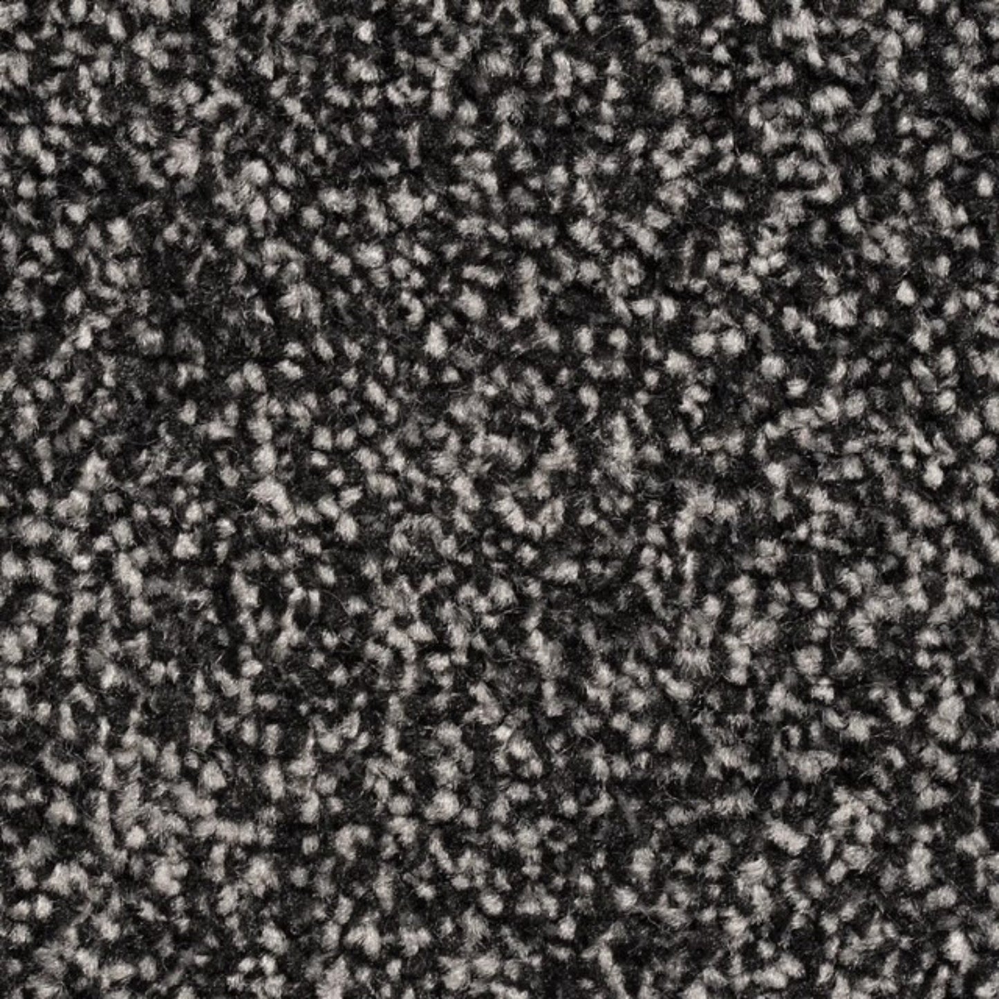 Alps 11mm Soft Twist Pile Carpet with Action Backing