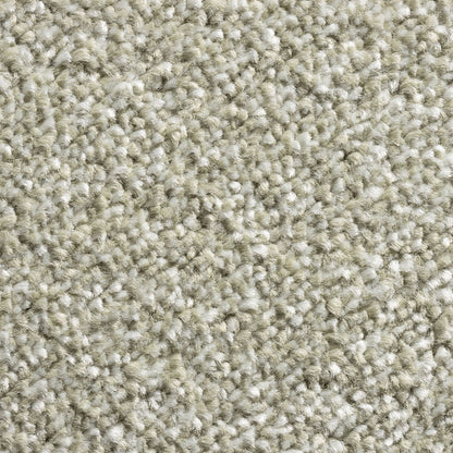 Alps 11mm Soft Twist Pile Carpet with Action Backing