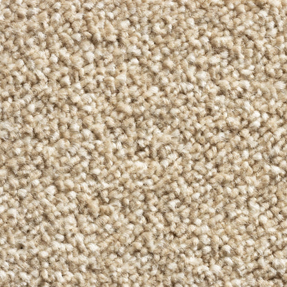 Alps 11mm Soft Twist Pile Carpet with Action Backing
