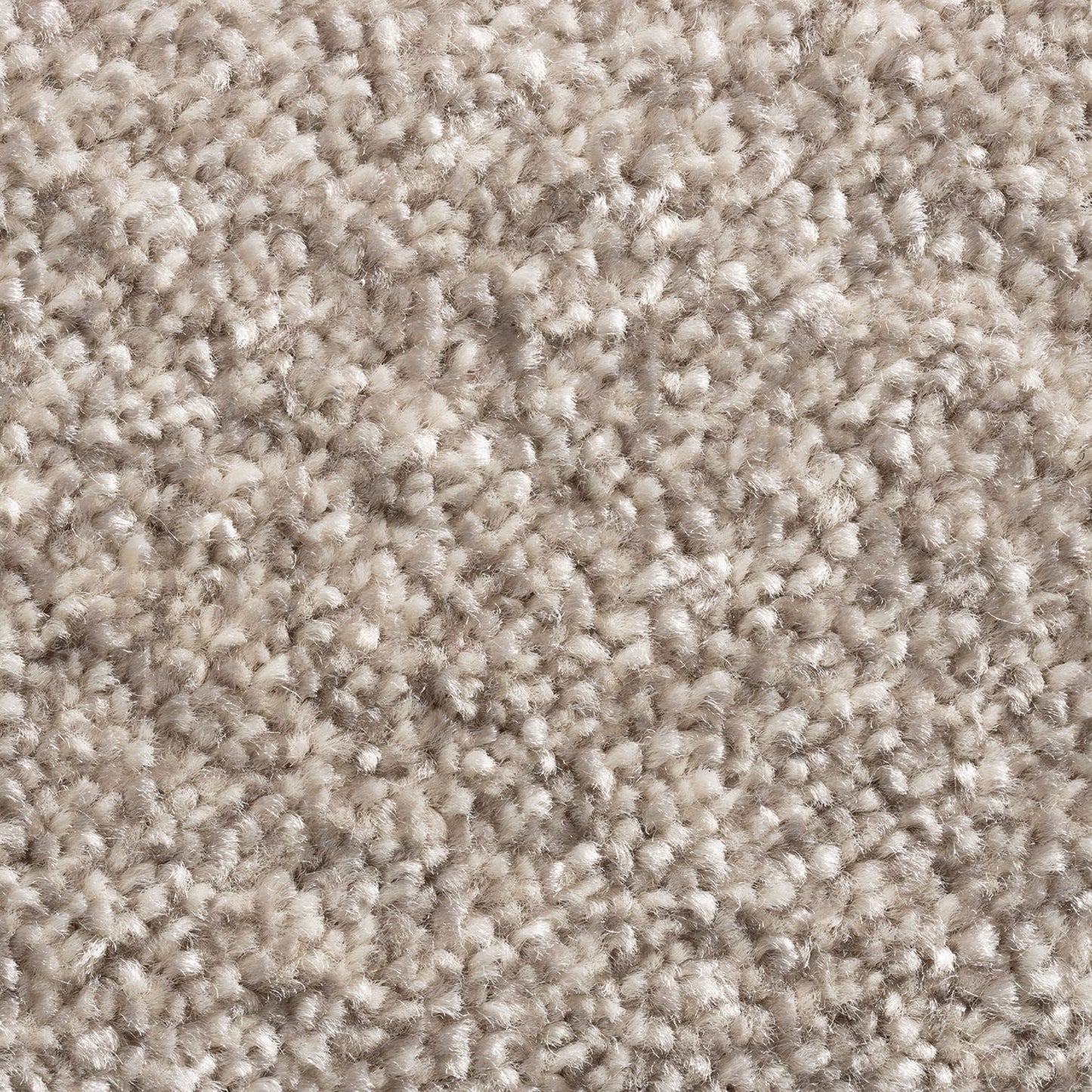 Alps 11mm Soft Twist Pile Carpet with Action Backing