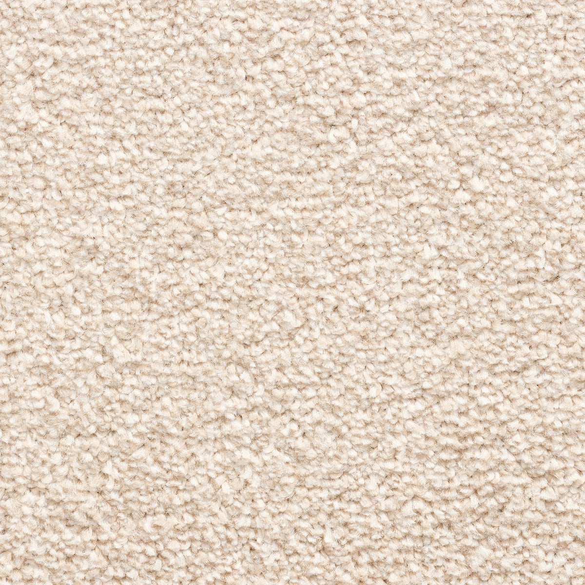 Avelino 15mm Saxony Pile Carpet with Action Backing