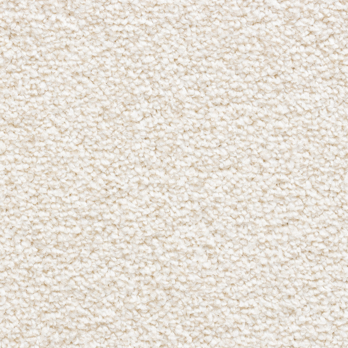 Avelino 15mm Saxony Pile Carpet with Action Backing