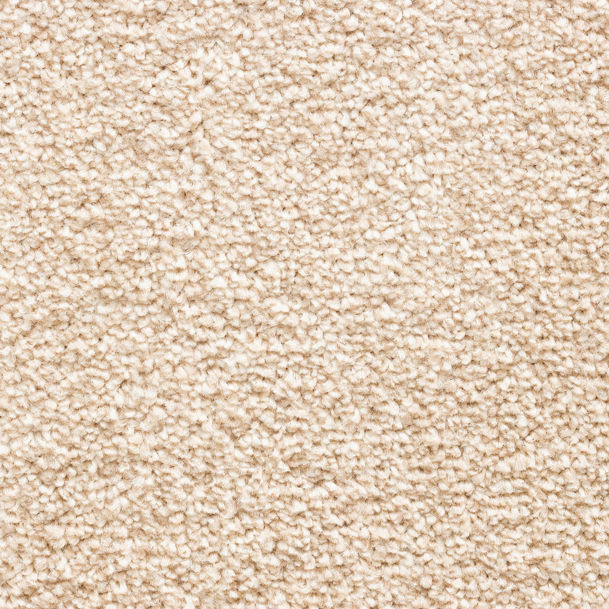 Avelino 15mm Saxony Pile Carpet with Action Backing