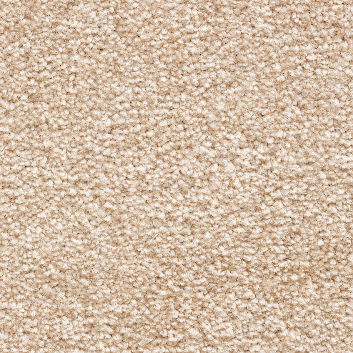 Avelino 15mm Saxony Pile Carpet with Action Backing