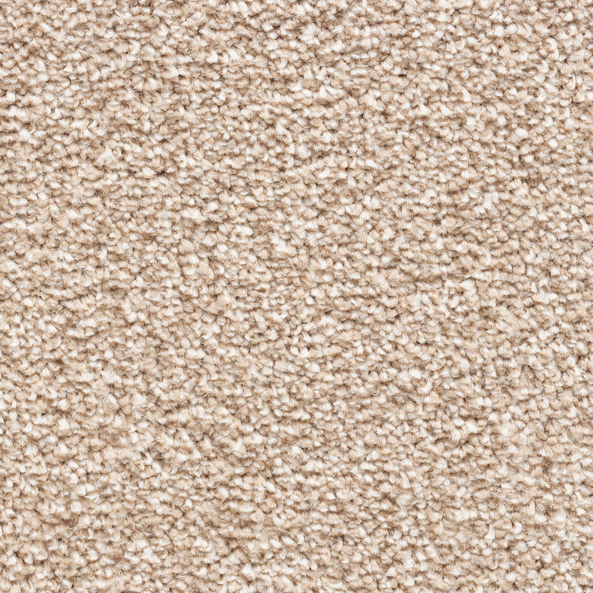 Avelino 15mm Saxony Pile Carpet with Action Backing