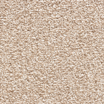 Avelino 15mm Saxony Pile Carpet with Action Backing