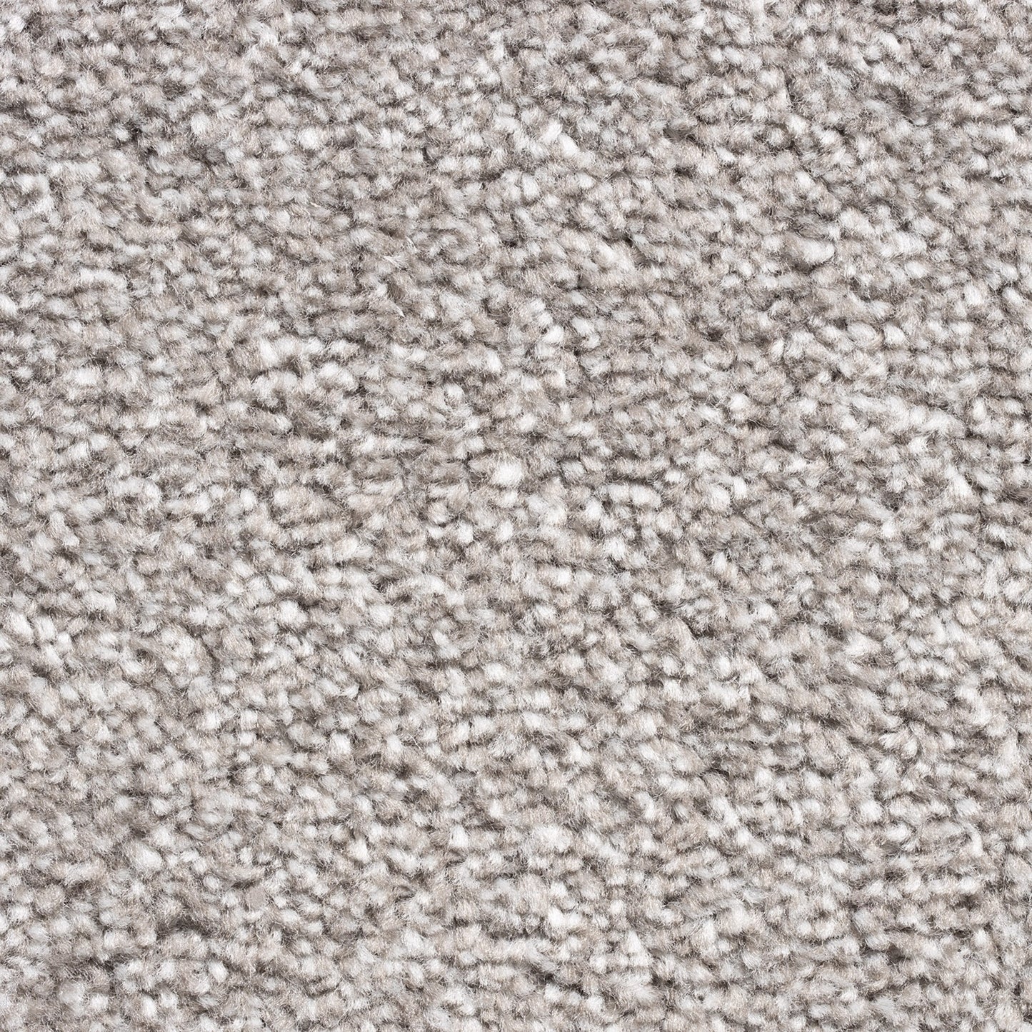 Barrati 15mm Saxony Pile Carpet with Action Backing Sample