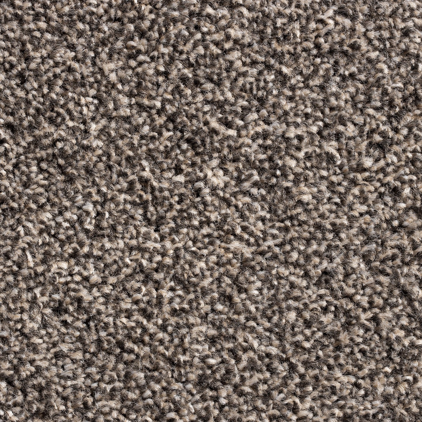 Barrati 15mm Saxony Pile Carpet with Action Backing Sample